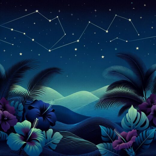 Island Nocturne